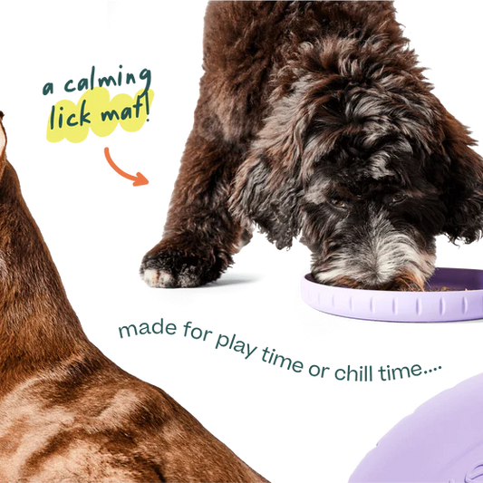 Woof Fly n' Feed