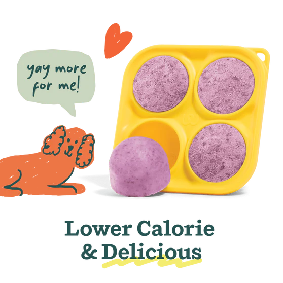 Woof Calming Pupsicle Mix