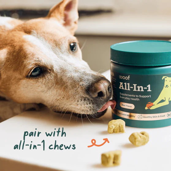 All-In-1 Wellness Pops