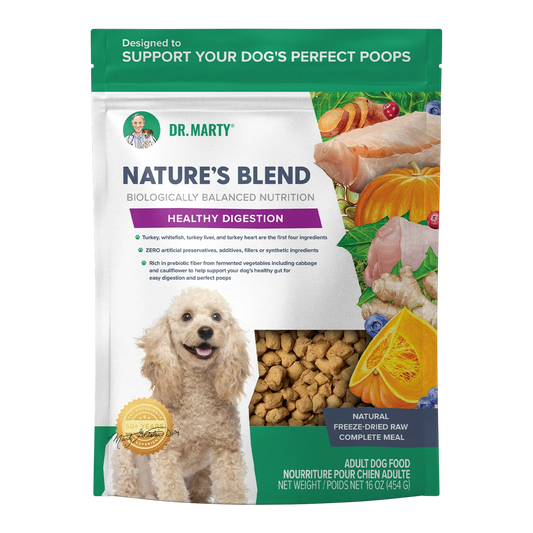 Nature's Blend Healthy Digestion by Dr. Marty