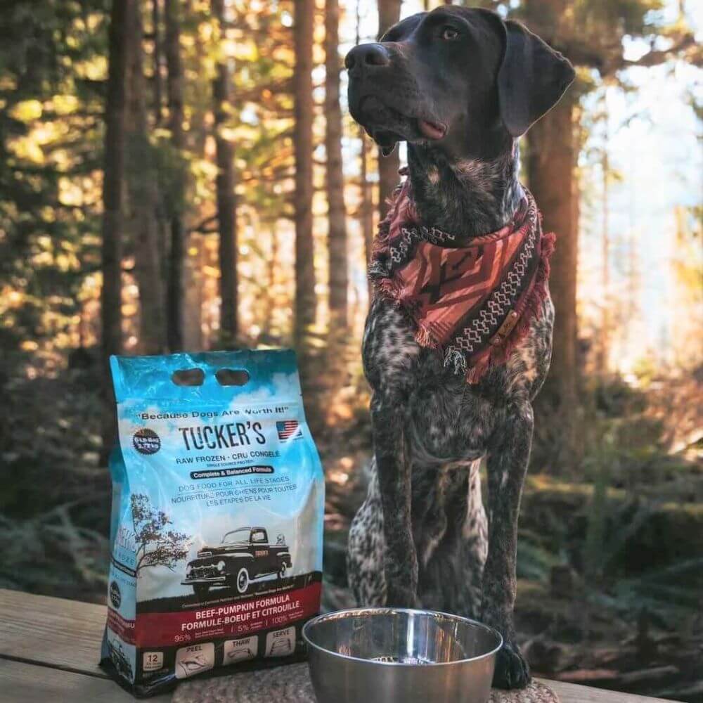 Tucker's Raw Frozen Dog Food Beef & Pumpkin Formula