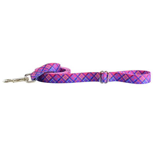 Earthstyle Neon Sunrise Dog Leash - 6" Foot 1 inch Leash