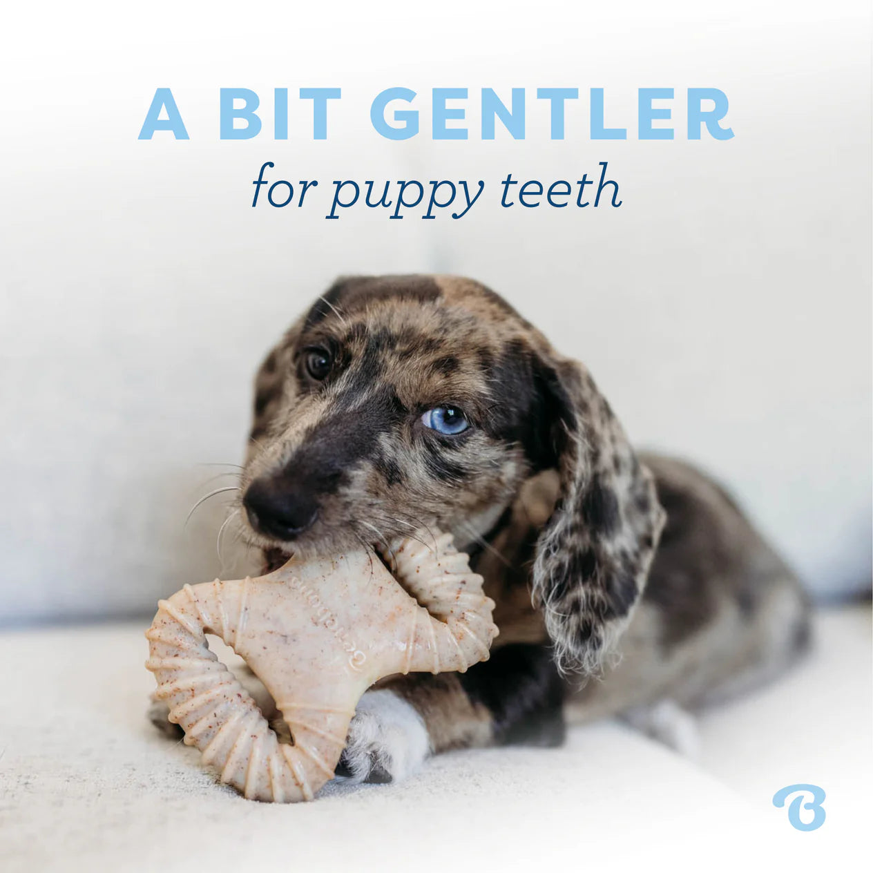 Benebone Bacon Puppy Dental Chew