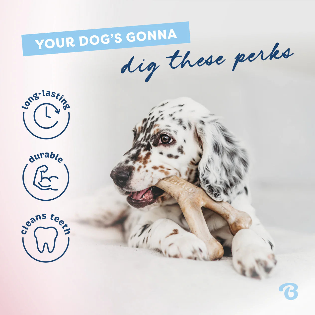 Benebone Bacon Puppy Wishbone