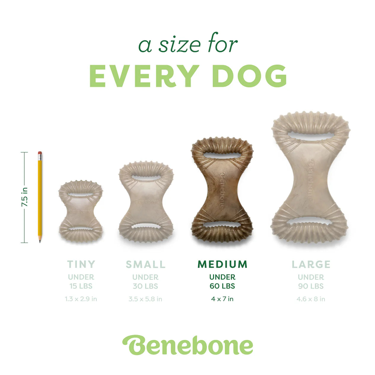 Benebone Bacon Dental Chew
