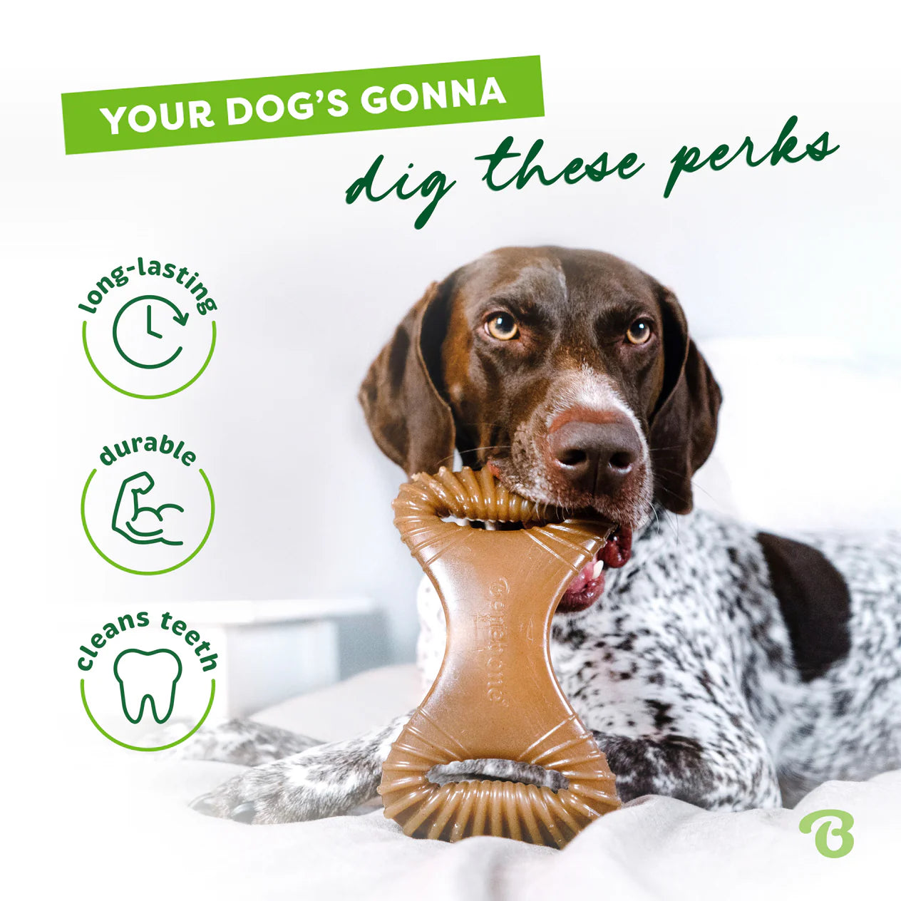 Benebone Bacon Dental Chew