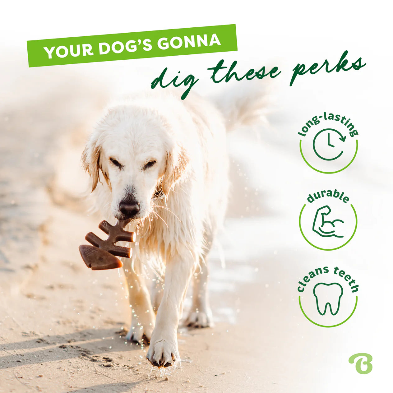 Benebone Jack Salmon Fishbone