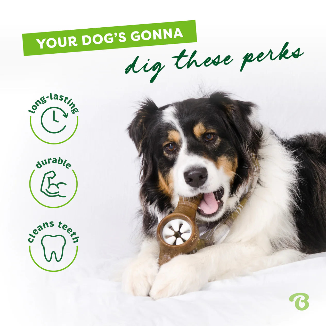 Benebone Bacon Pawplexer