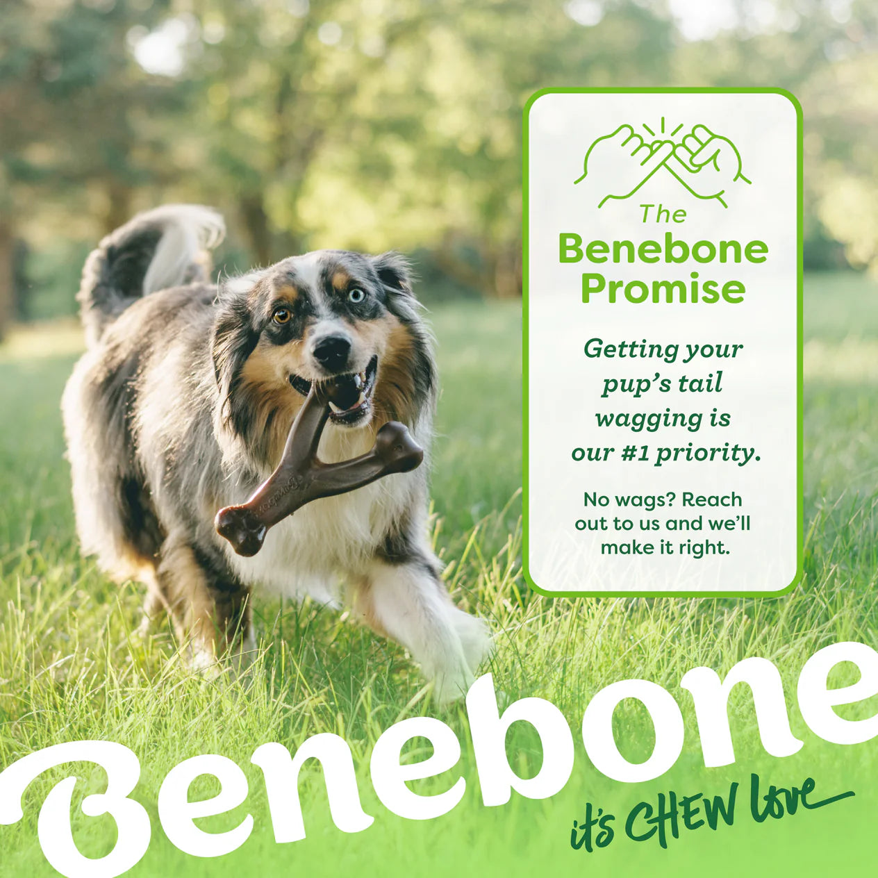 Benebone Bacon Wishbone