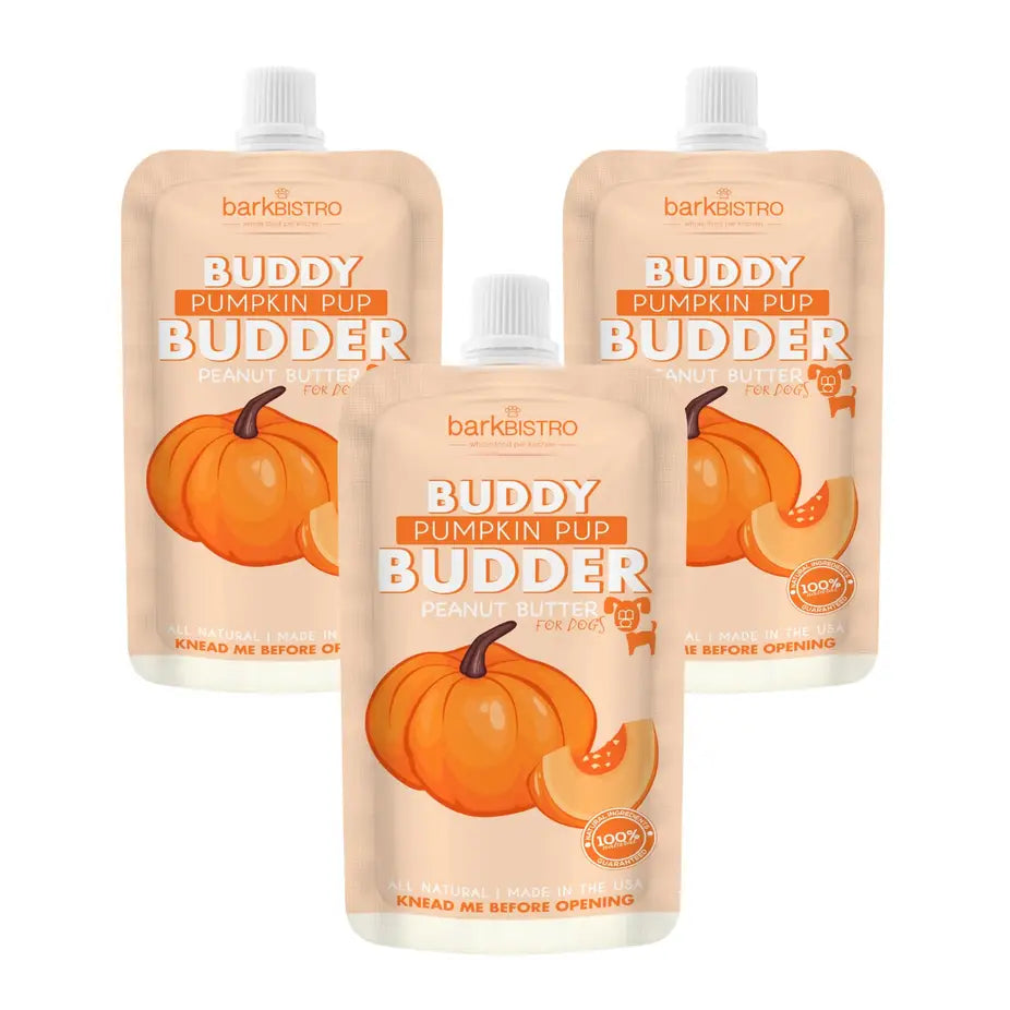 Dog Peanut Butter - 4oz Squeeze Packs Pumpkin Pup Budder