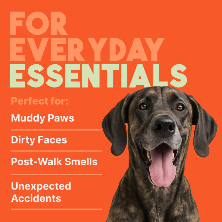 TropiClean Papaya & Coconut Luxury 2-In-1 Pet Wipes