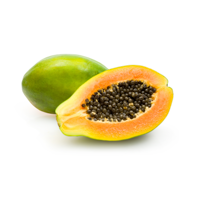 TropiClean Papaya Mist Deodorizing Pet Spray