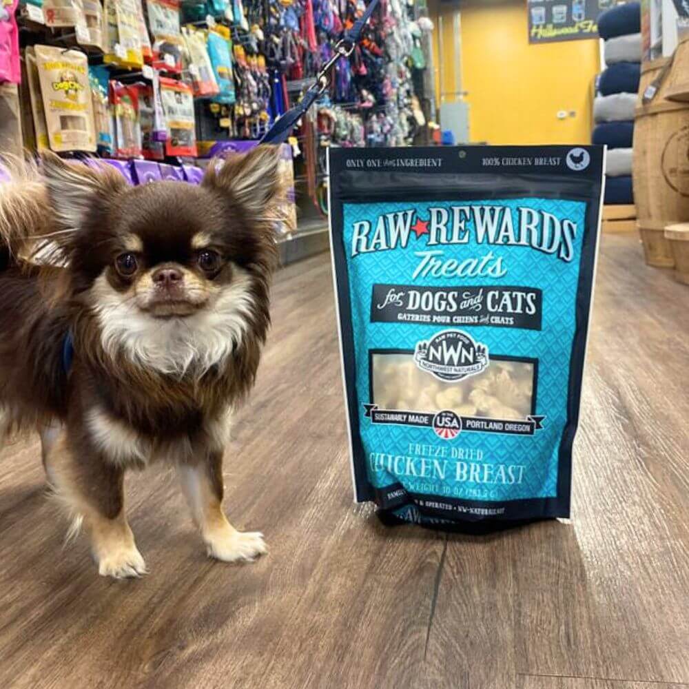 Northwest Naturals Dog Treat FD Rewards Chicken Breast