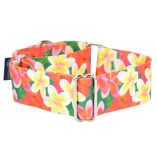 1.5″ Earthstyle Aloha Dog Collar- Martingale Collar