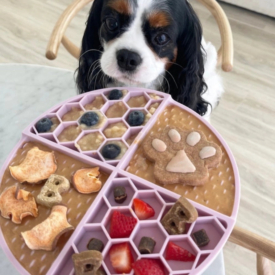 Dog Peanut Butter - 4oz Squeeze Packs Awesome Apple Budder