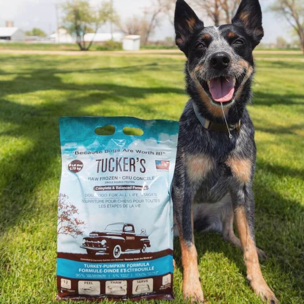 Tucker's Raw Frozen Dog Food Turkey & Pumpkin Formula