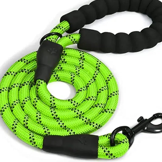 Braided Rope Leash - Lime