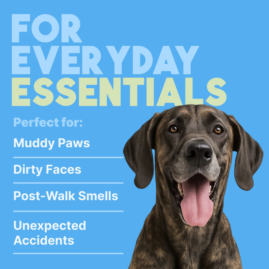 TropiClean Hypoallergenic Cleaning Pet Wipes