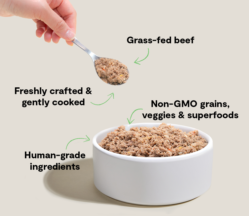 Open Farm Goodbowl Grass-Fed Beef Freshly Crafted Recipe