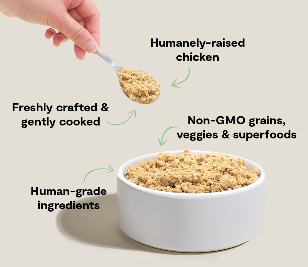 Open Farm Goodbowl Harvest Chicken Freshly Crafted Recipe