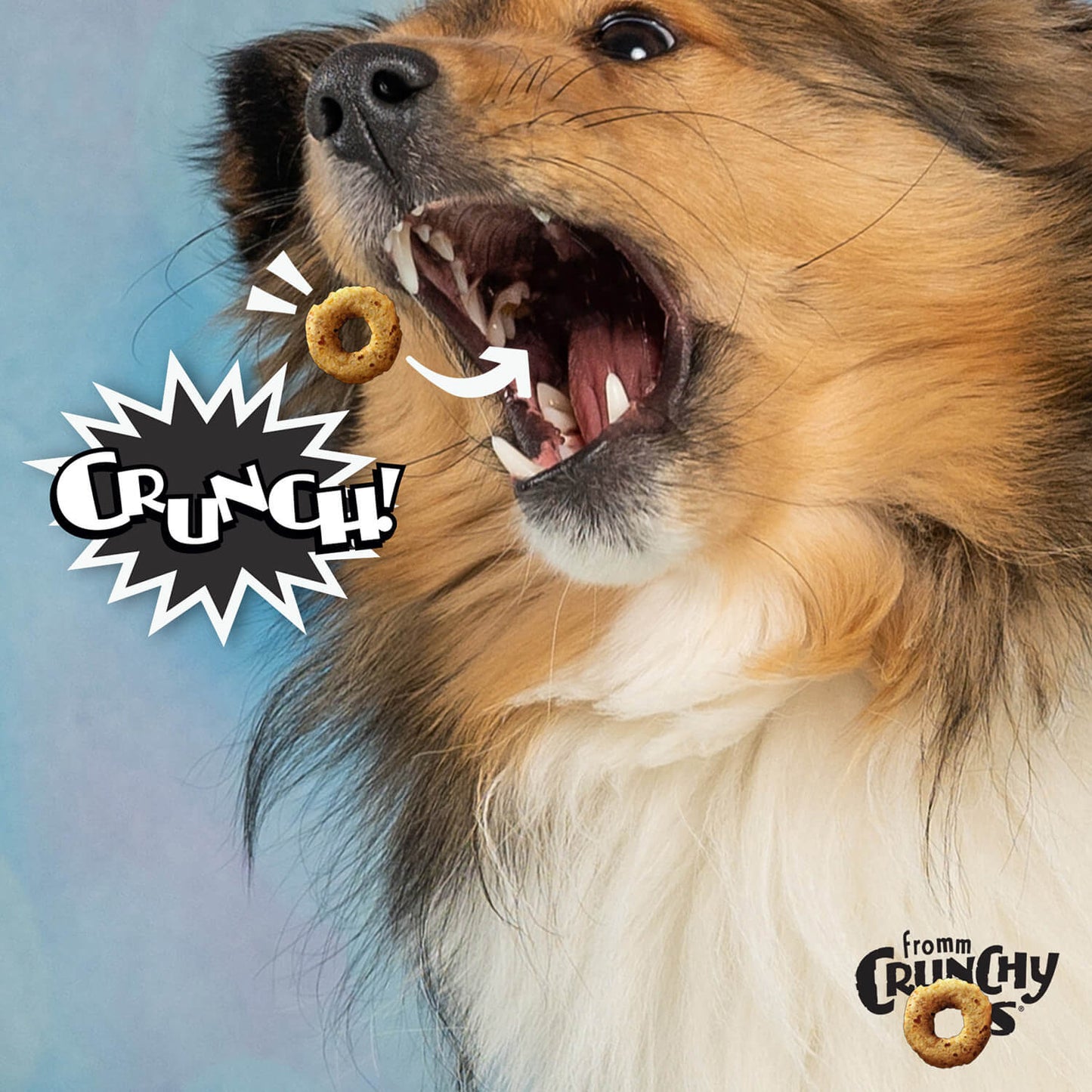 Crunchy Os Bacon Blasters Flavor Dog Treats