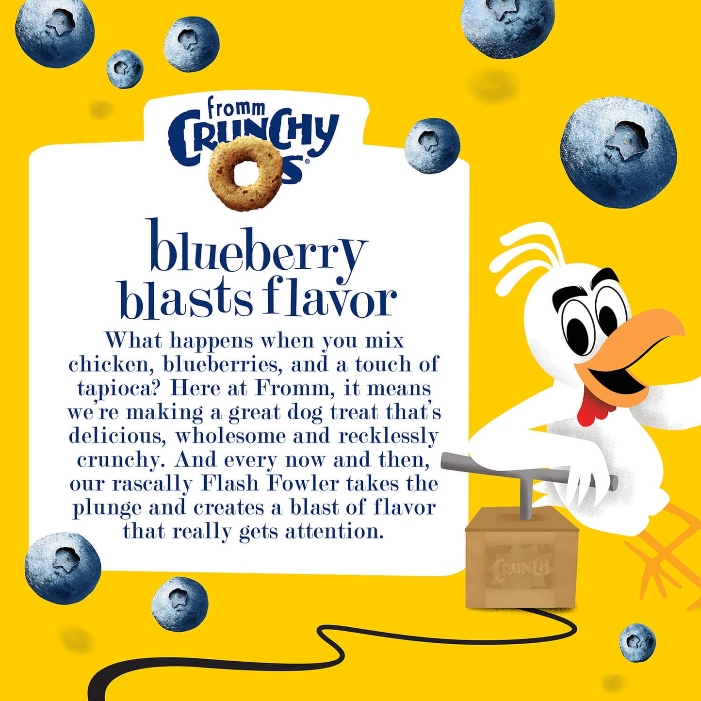 Crunchy Os Blueberry Blasts Flavor Dog Treats