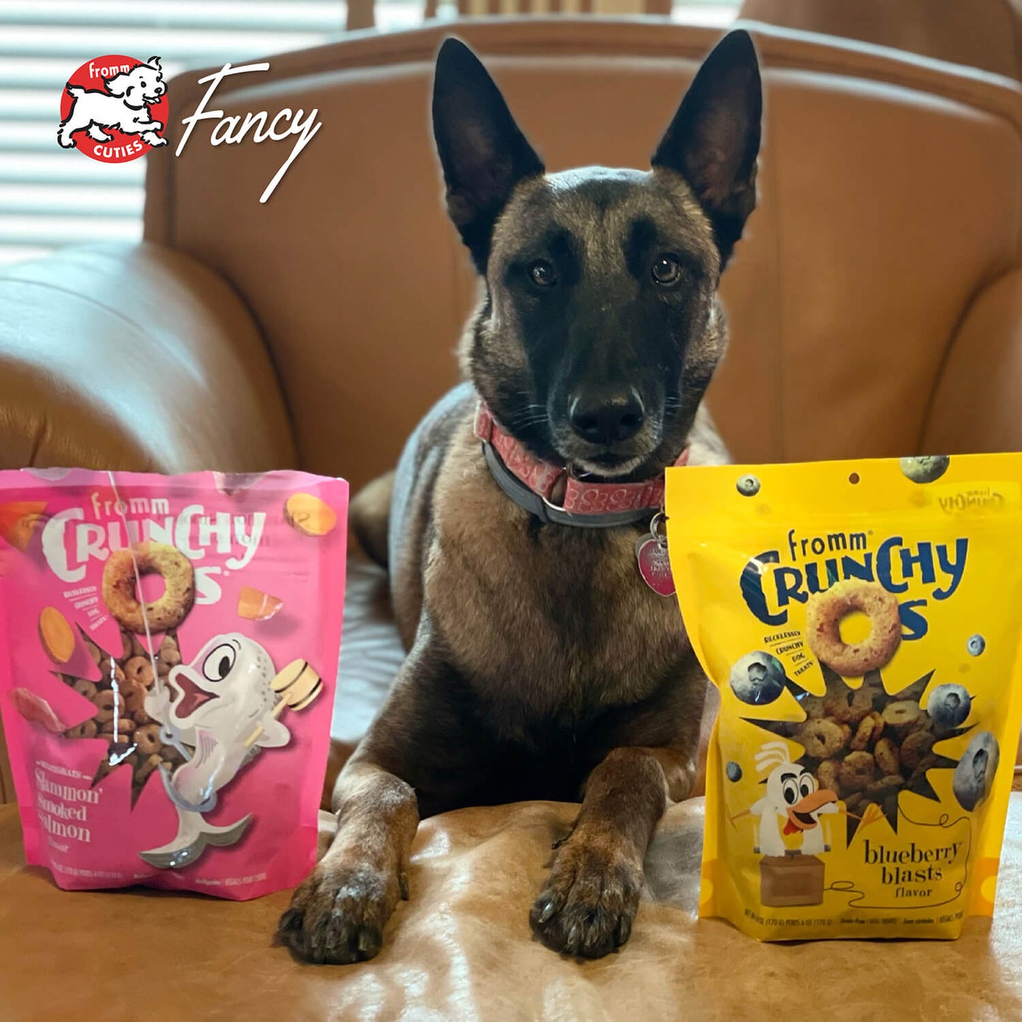 Crunchy Os Blueberry Blasts Flavor Dog Treats