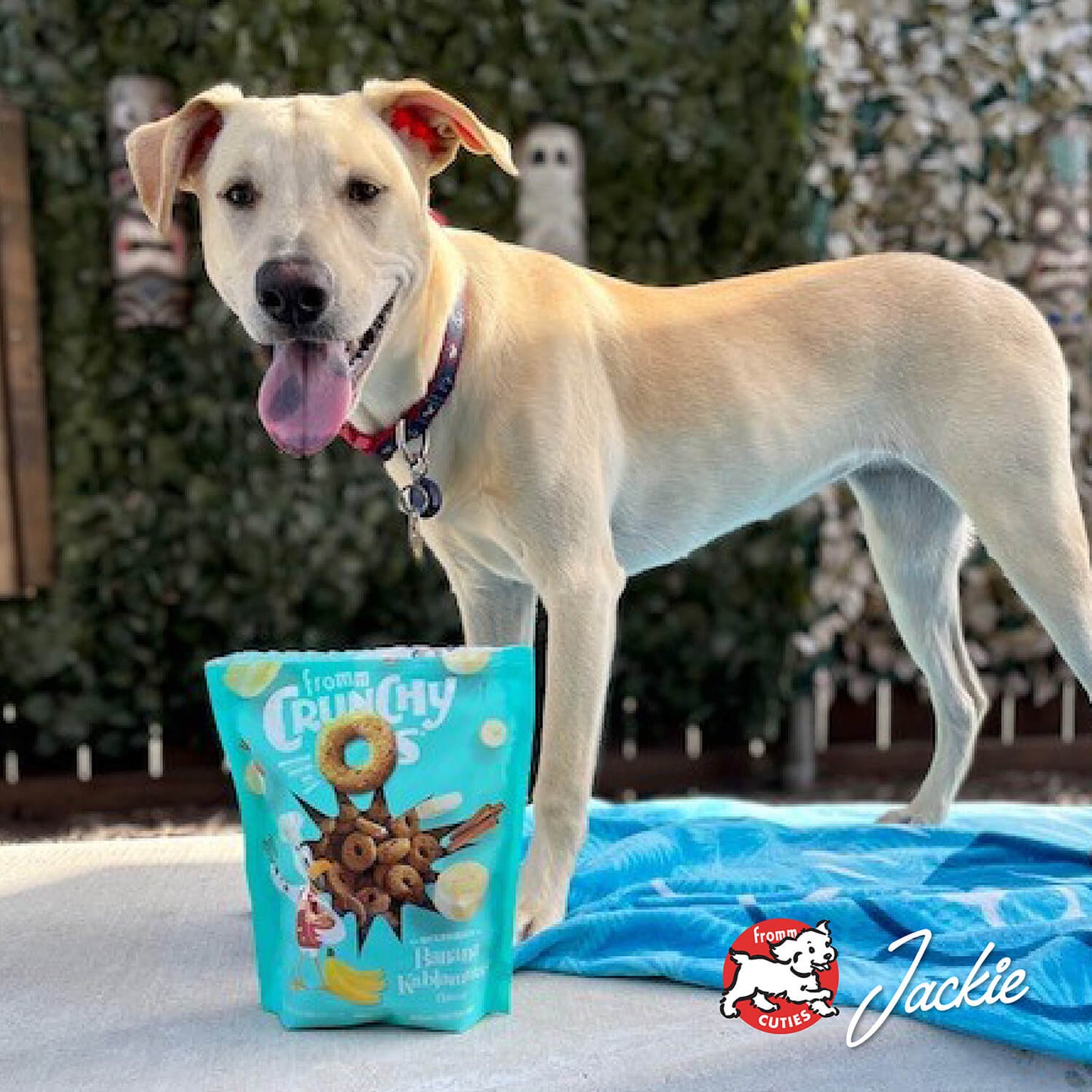 Crunchy Os Banana Kablammas Flavor Dog Treats