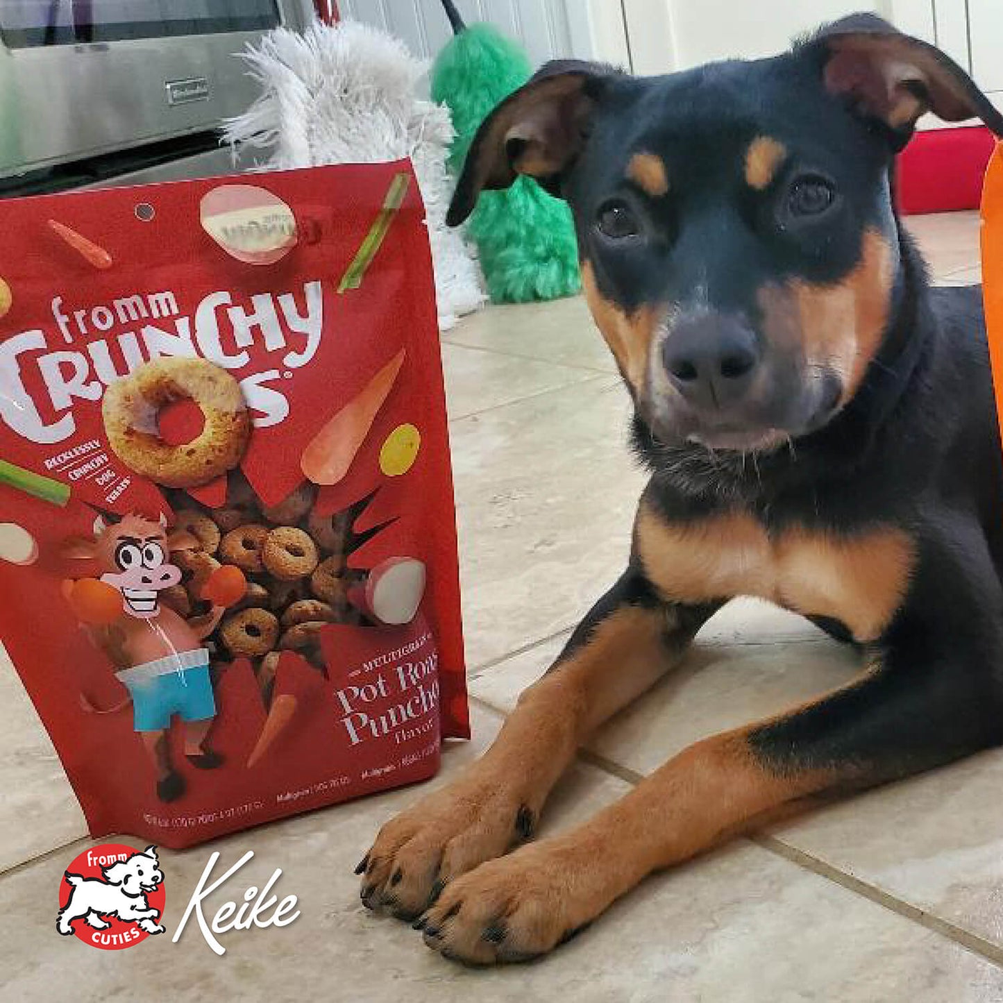 Crunchy Os Pot Roast Punchers™ Flavor Dog Treats