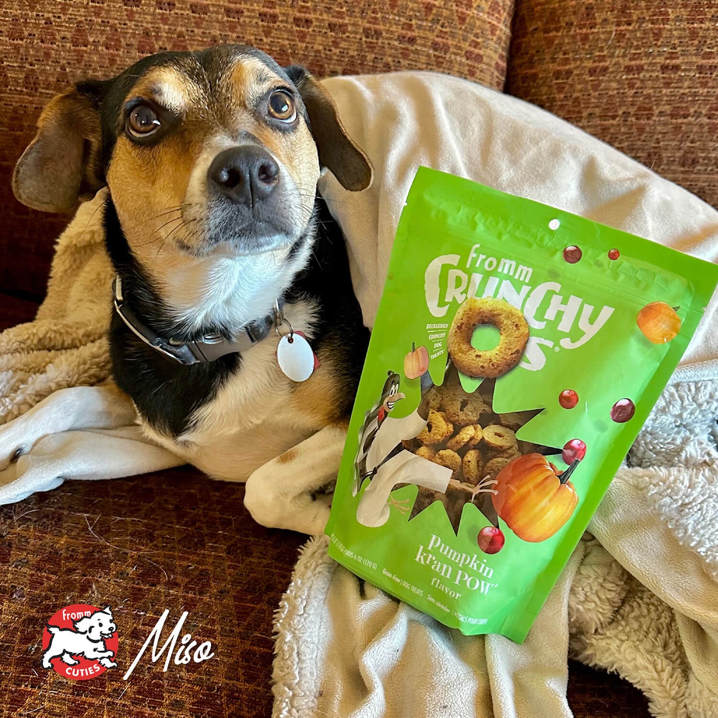 Crunchy Os Pumpkin Kran POW Flavor Dog Treats