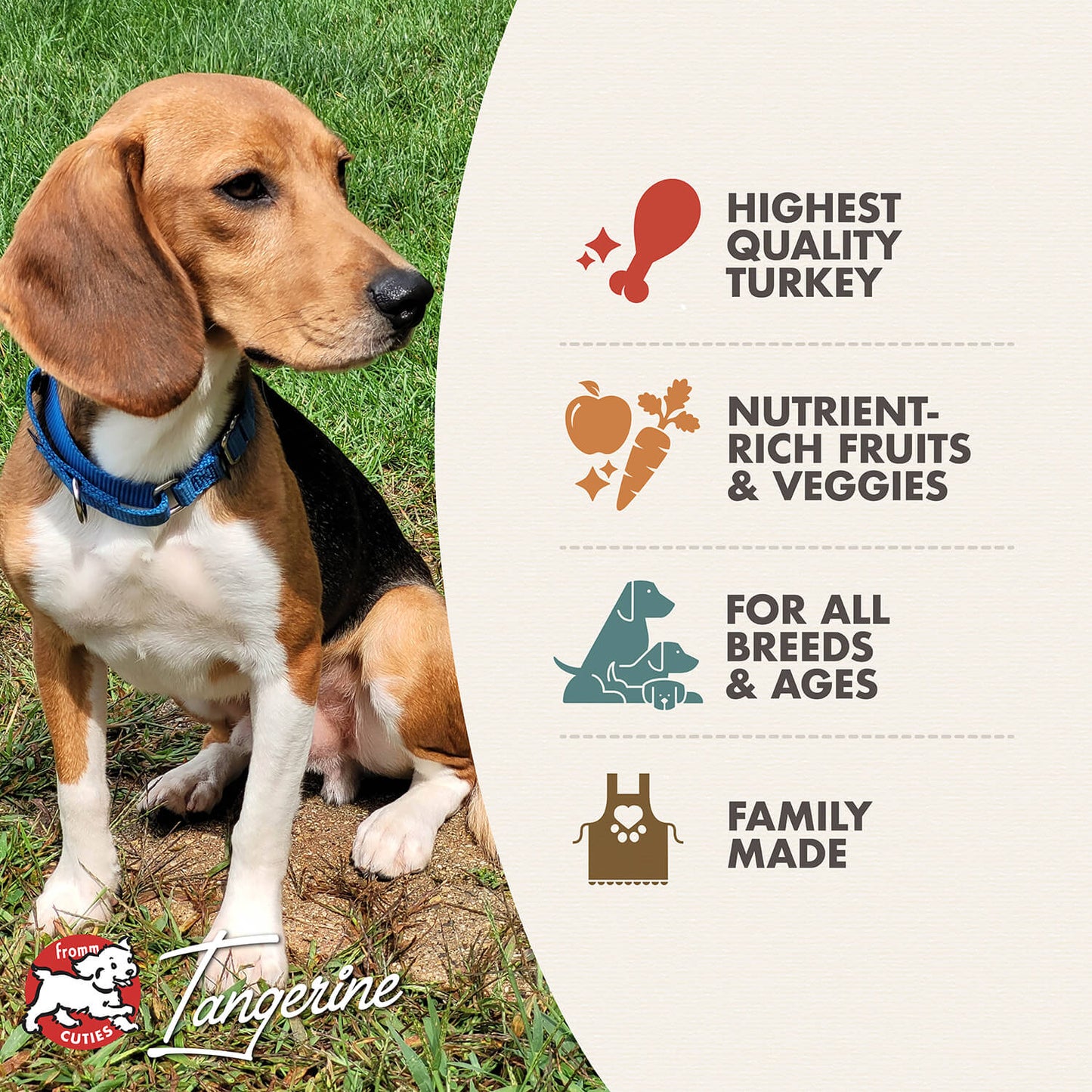Fromm Game Bird Recipe Dog Food