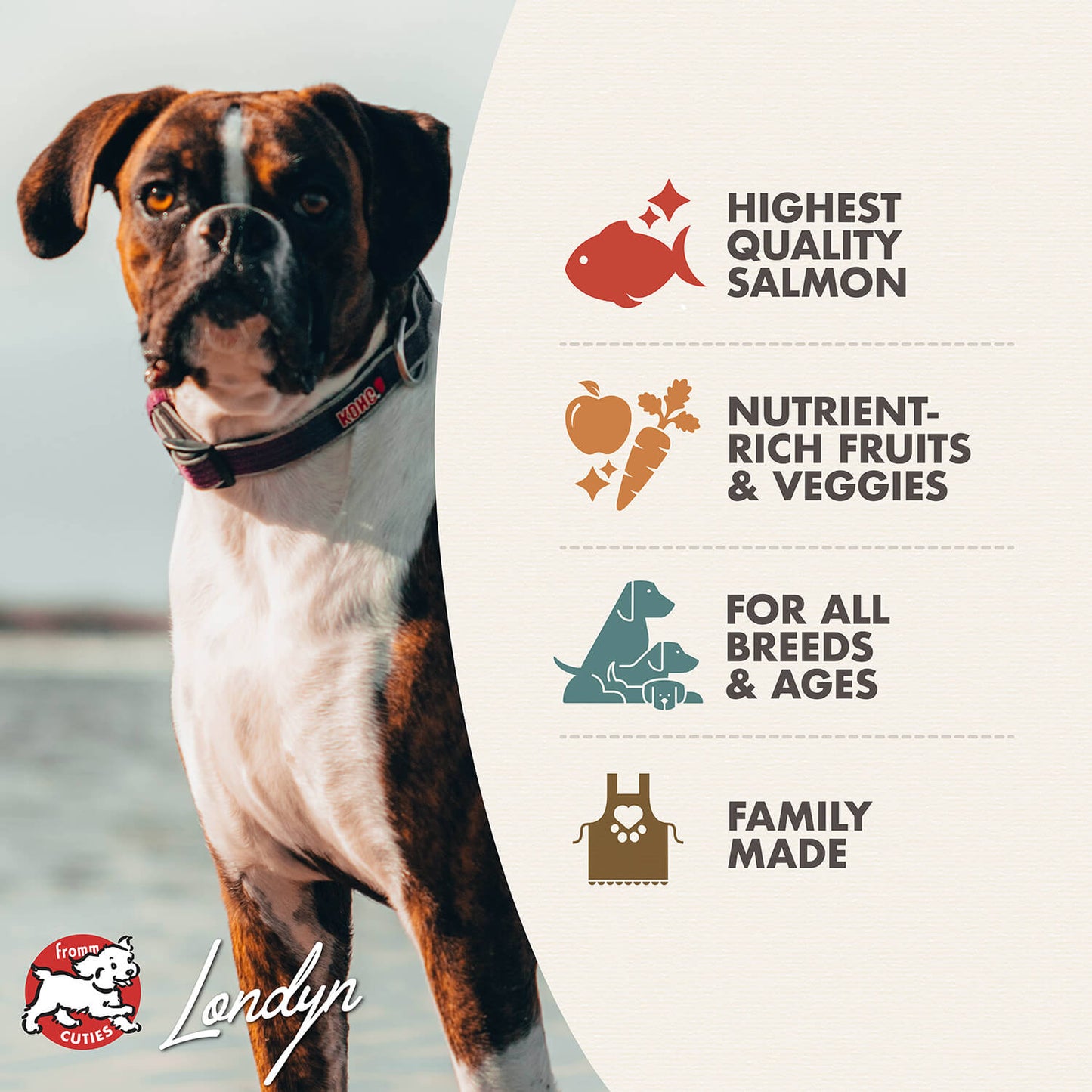 Fromm Salmon À La Veg® Dog Food