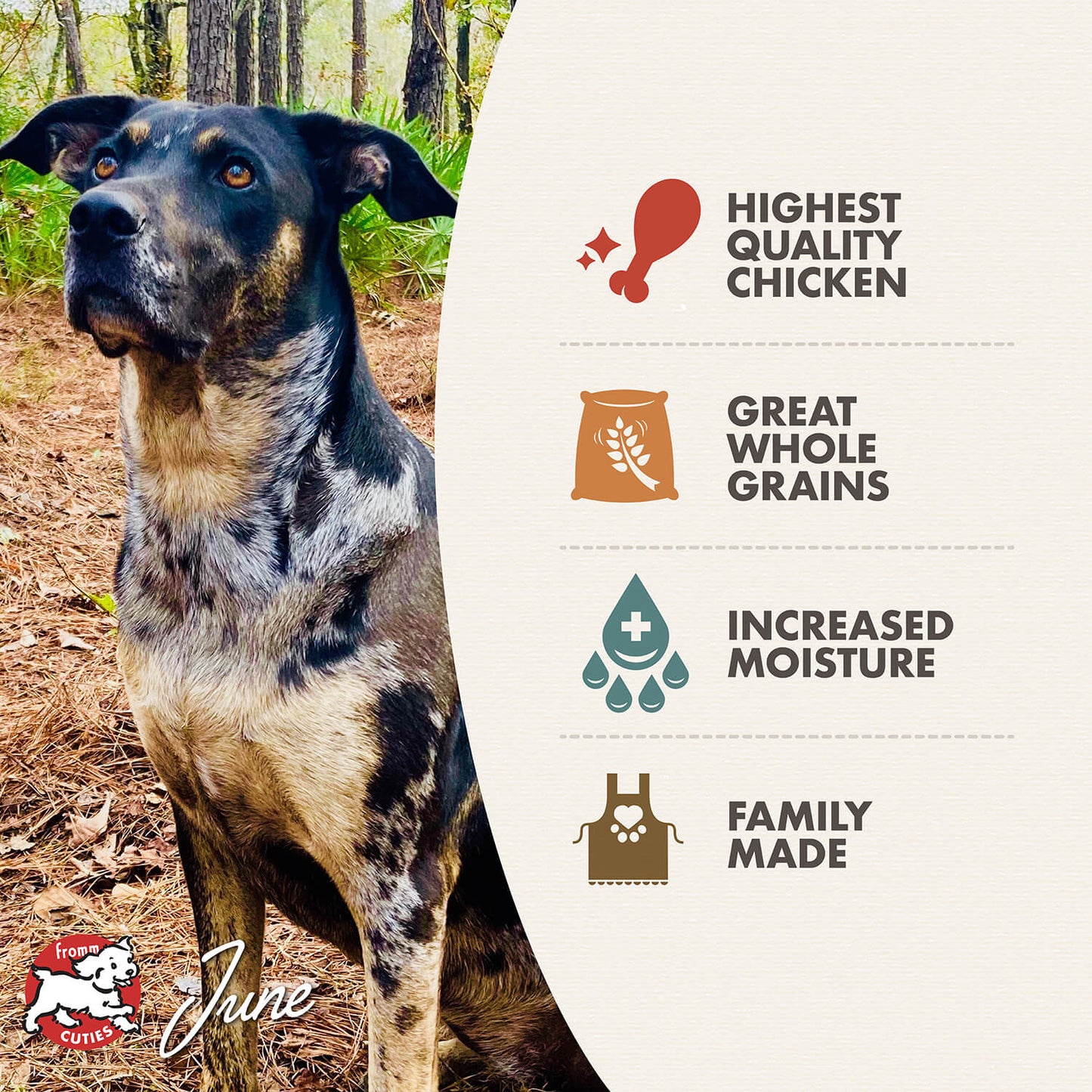 Fromm Chicken & Rice Pâté Dog Food