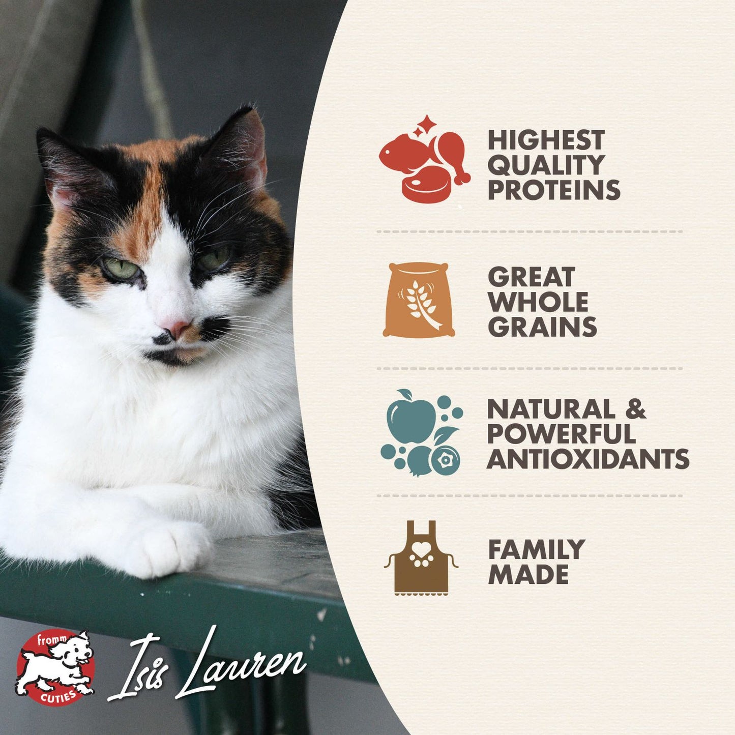 Fromm Adult Gold Cat Food