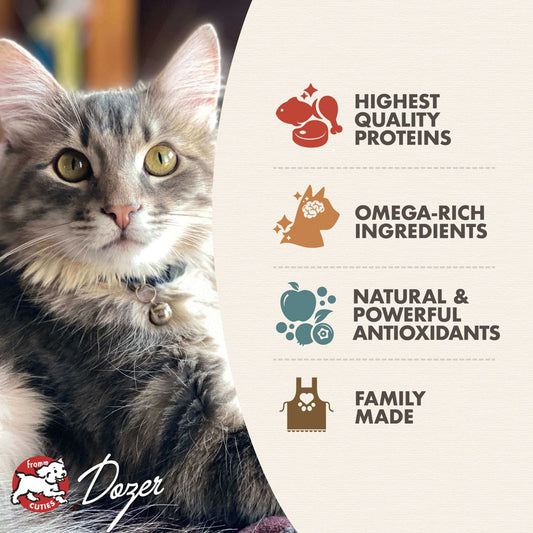 Fromm Kitten Gold Cat Food