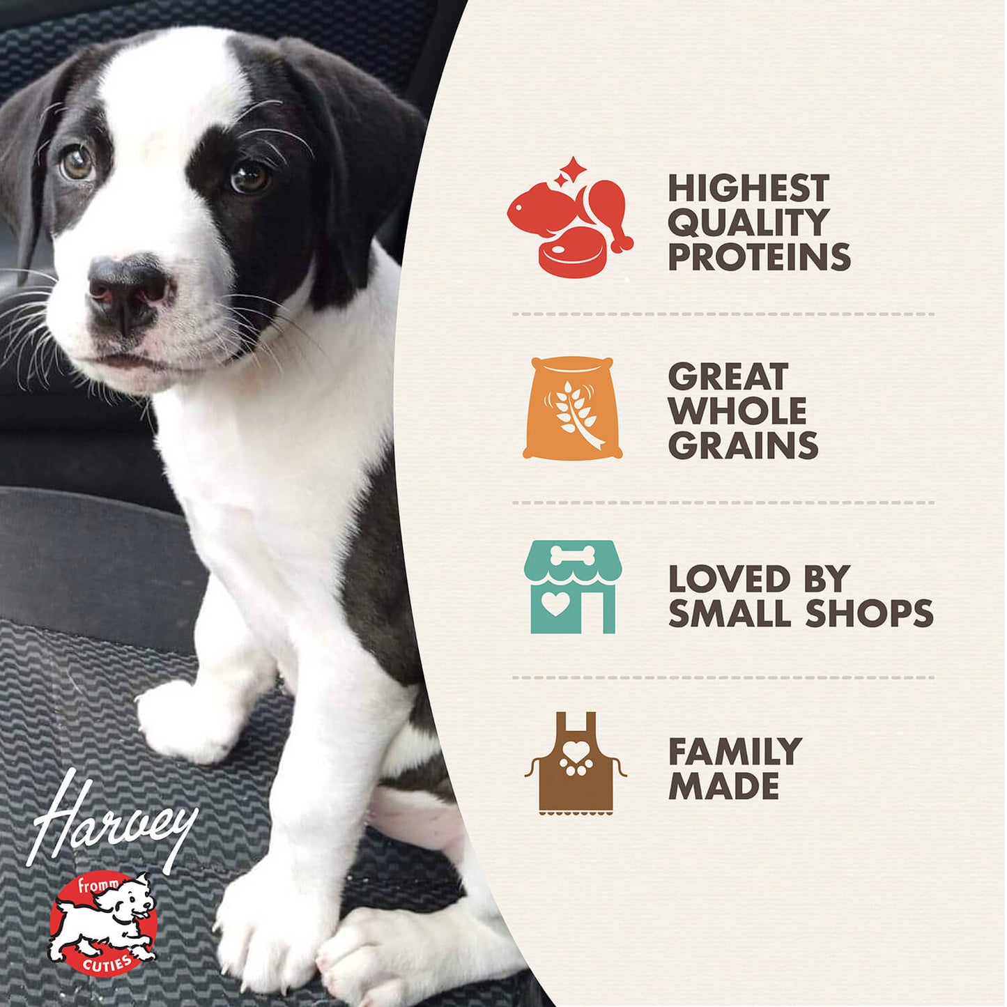 Fromm Puppy Gold Dog Food