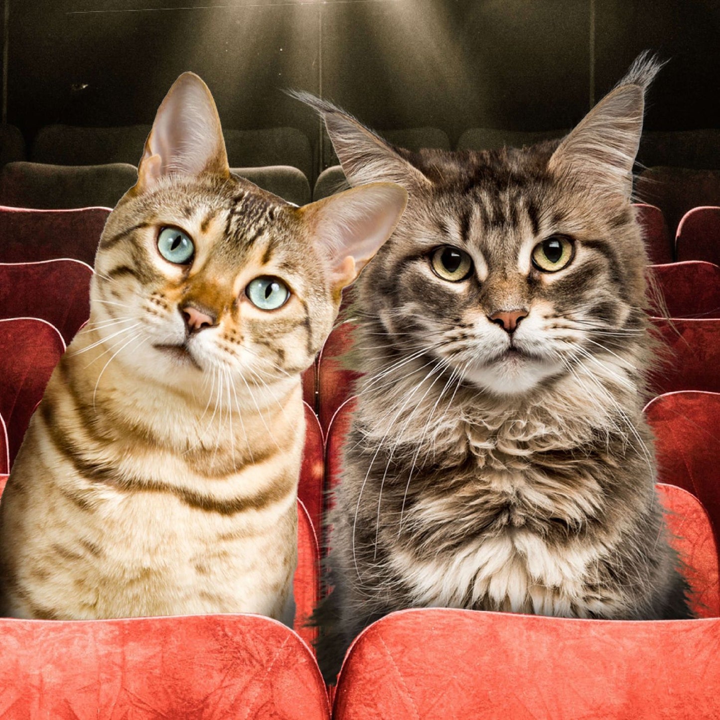 Fromm Adult Gold Cat Food