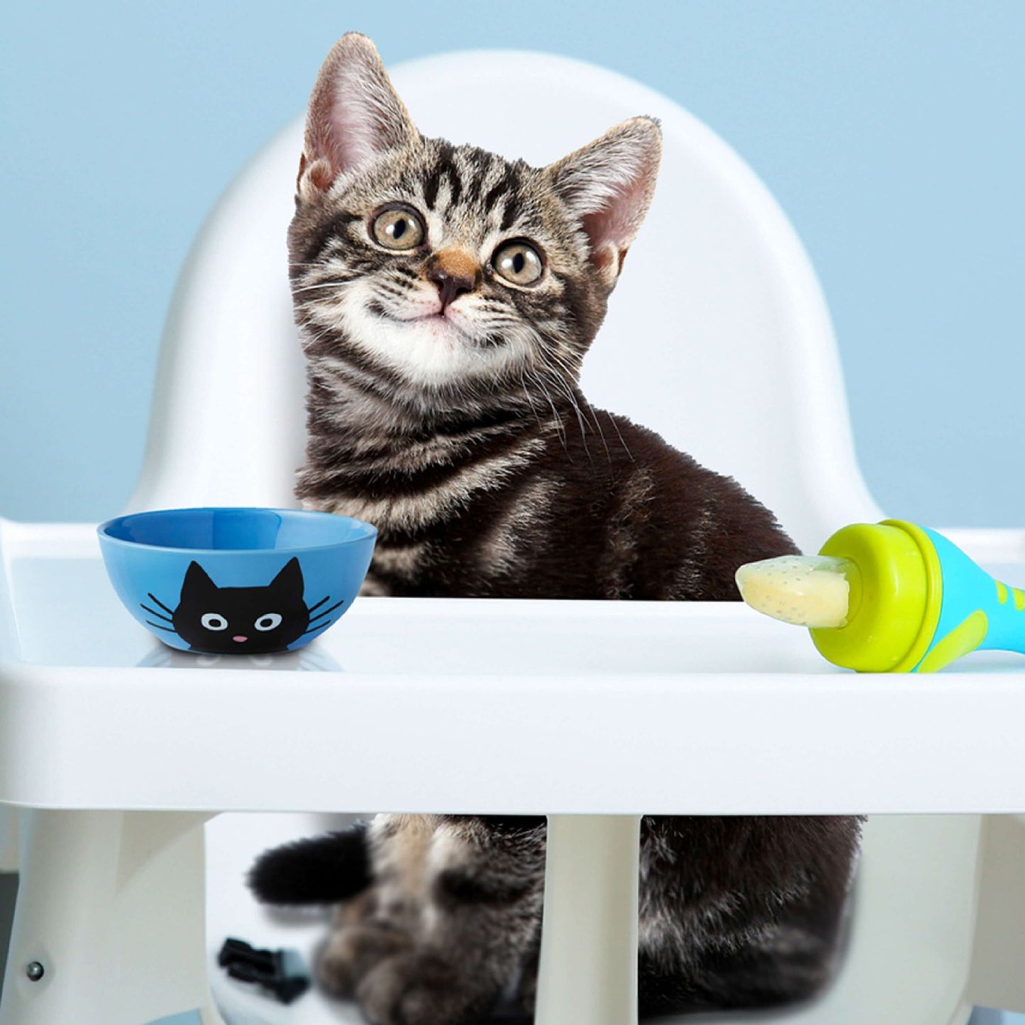 Fromm Kitten Gold Cat Food