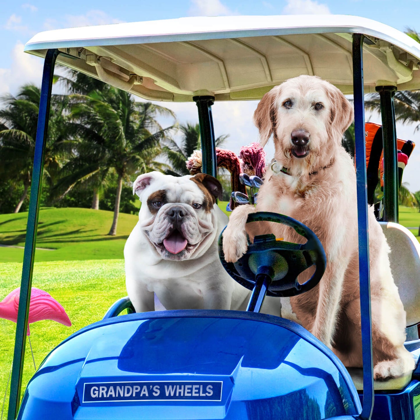 Fromm Reduced Activity & Senior Gold Dog Food