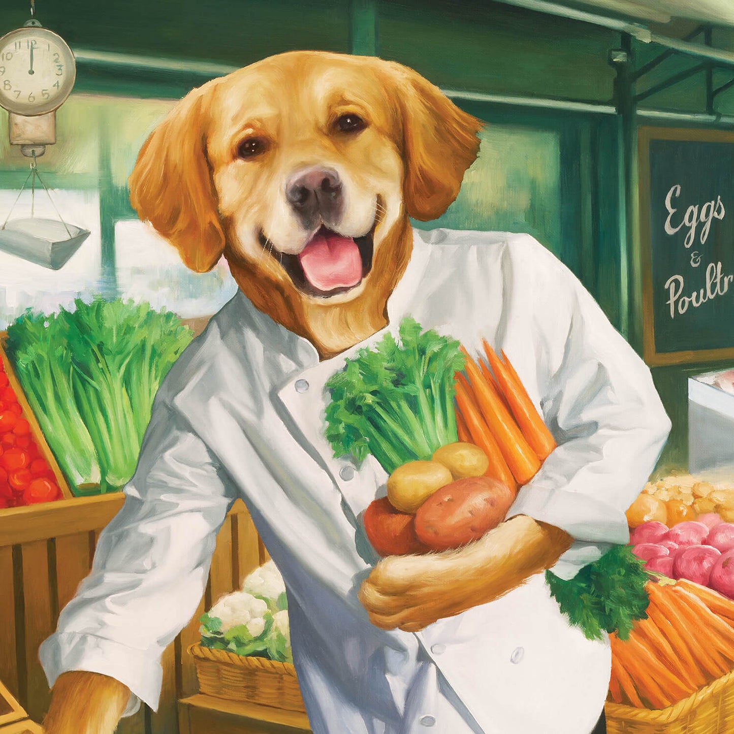 Fromm Shredded Chicken in Gravy Entrée Dog Food