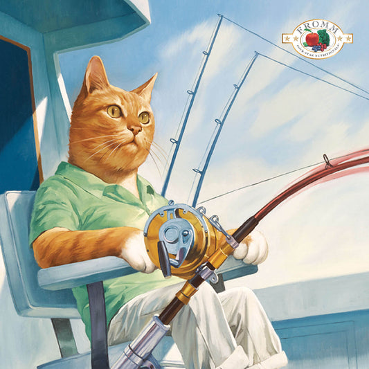 Fromm Salmon Tunachovy® Recipe Cat Food