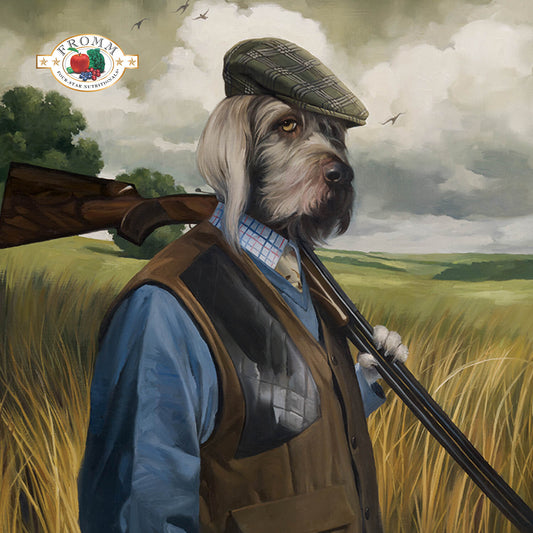 Fromm Game Bird Recipe Dog Food