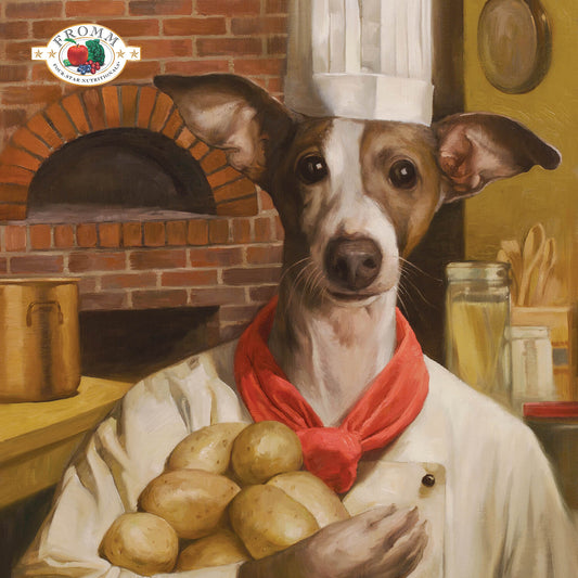 Fromm Pork & Applesauce Recipe Dog Food