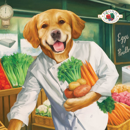 Fromm Salmon À La Veg® Dog Food