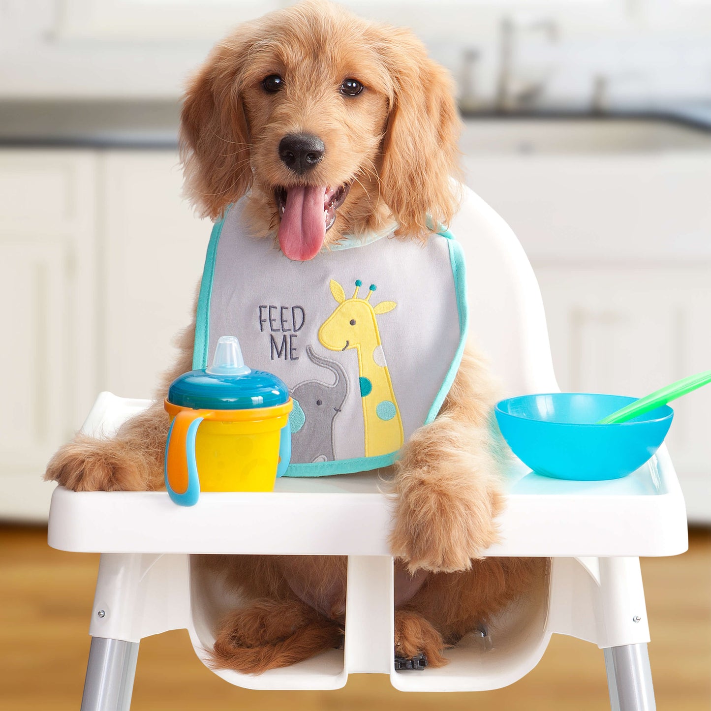 Fromm Large Breed Puppy Gold Dog Food