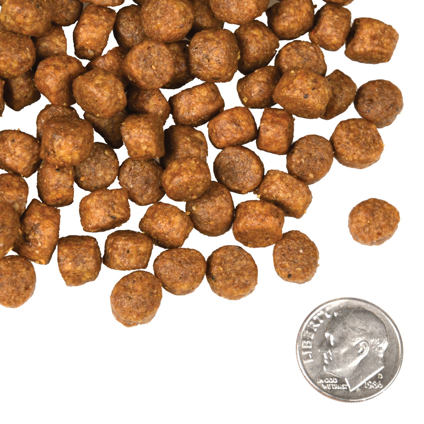 Fromm Beef Frittata Veg® Recipe Dog Food