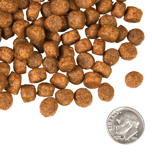 Fromm Beef Frittata Veg® Recipe Dog Food