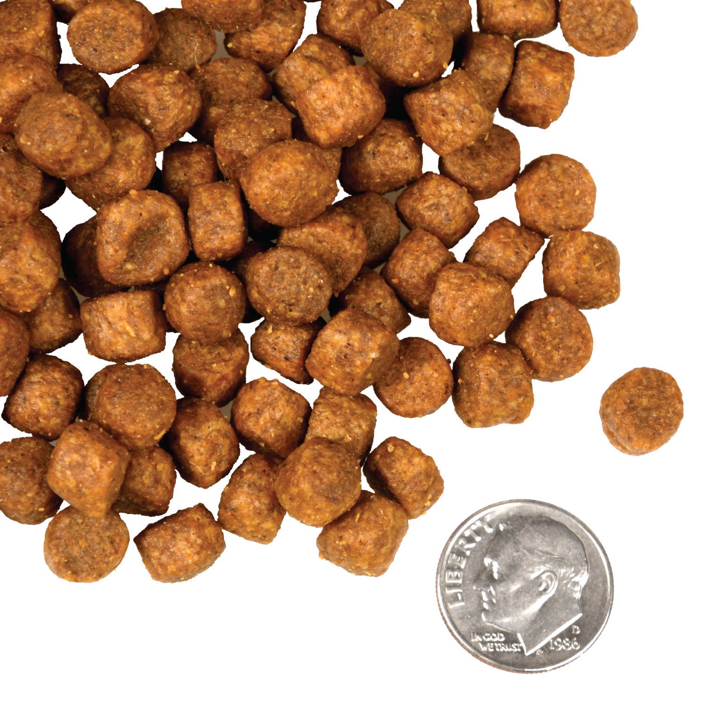 Fromm Game Bird Recipe Dog Food
