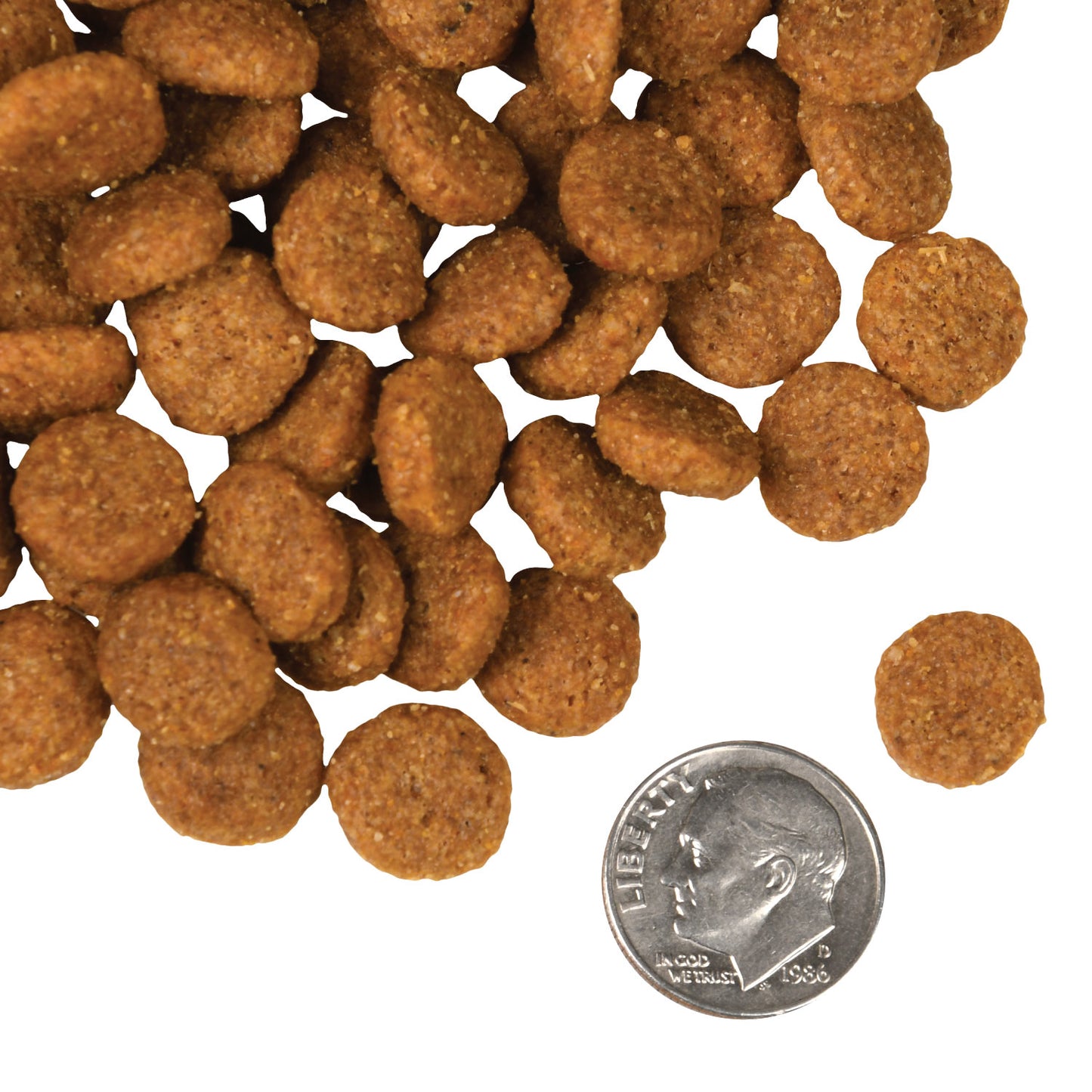 Fromm Pork & Applesauce Recipe Dog Food