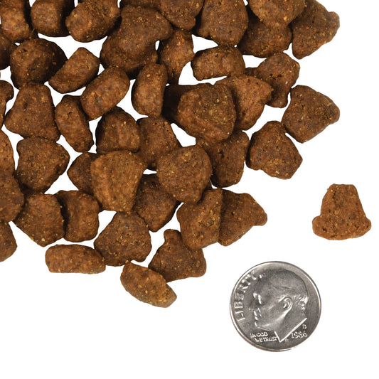 Fromm Rancherosa® Dog Food